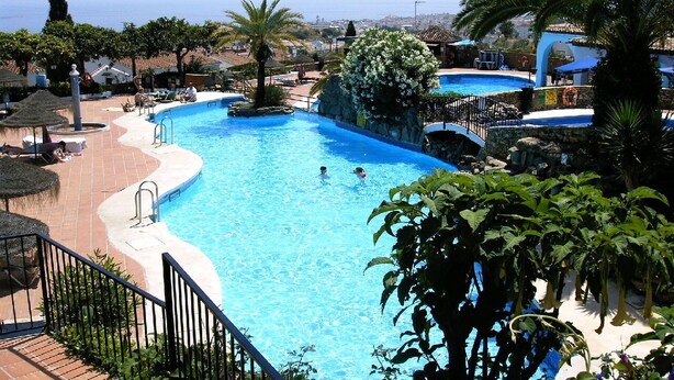 Una amplia piscina exterior con vista al mar, rodeada de palmeras y sillas de descanso.