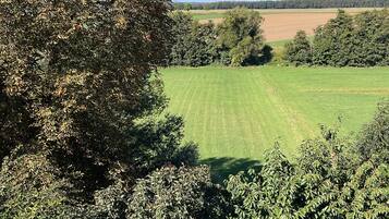 Uitzicht op een groen veld met bomen op de voorgrond en een heldere lucht.