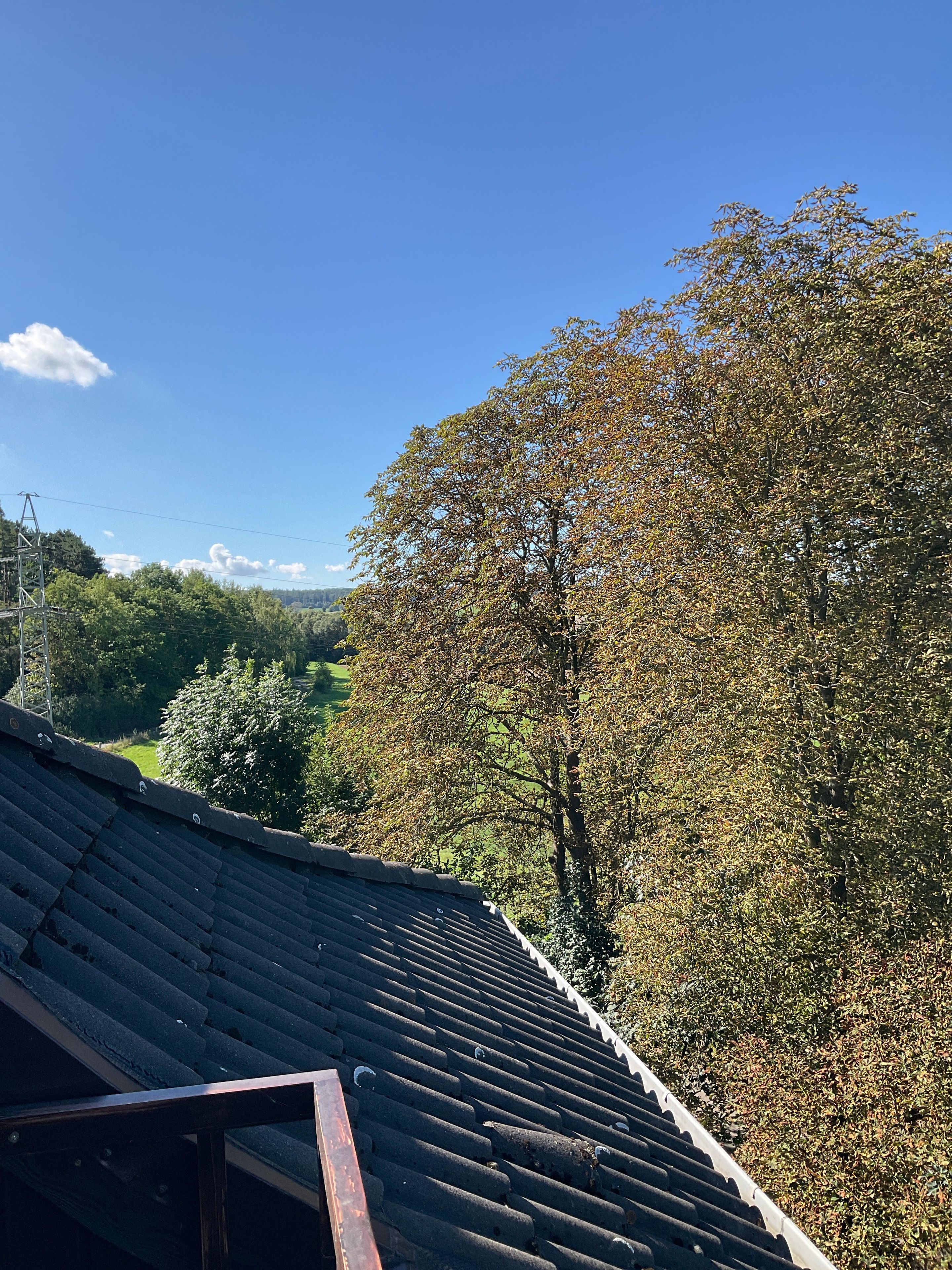 A rooftop with a metal roof and a view of a tree-lined landscape.
