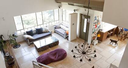 Beautiful spacious 5-bedroom house surrounded by gardens in Tel Aviv