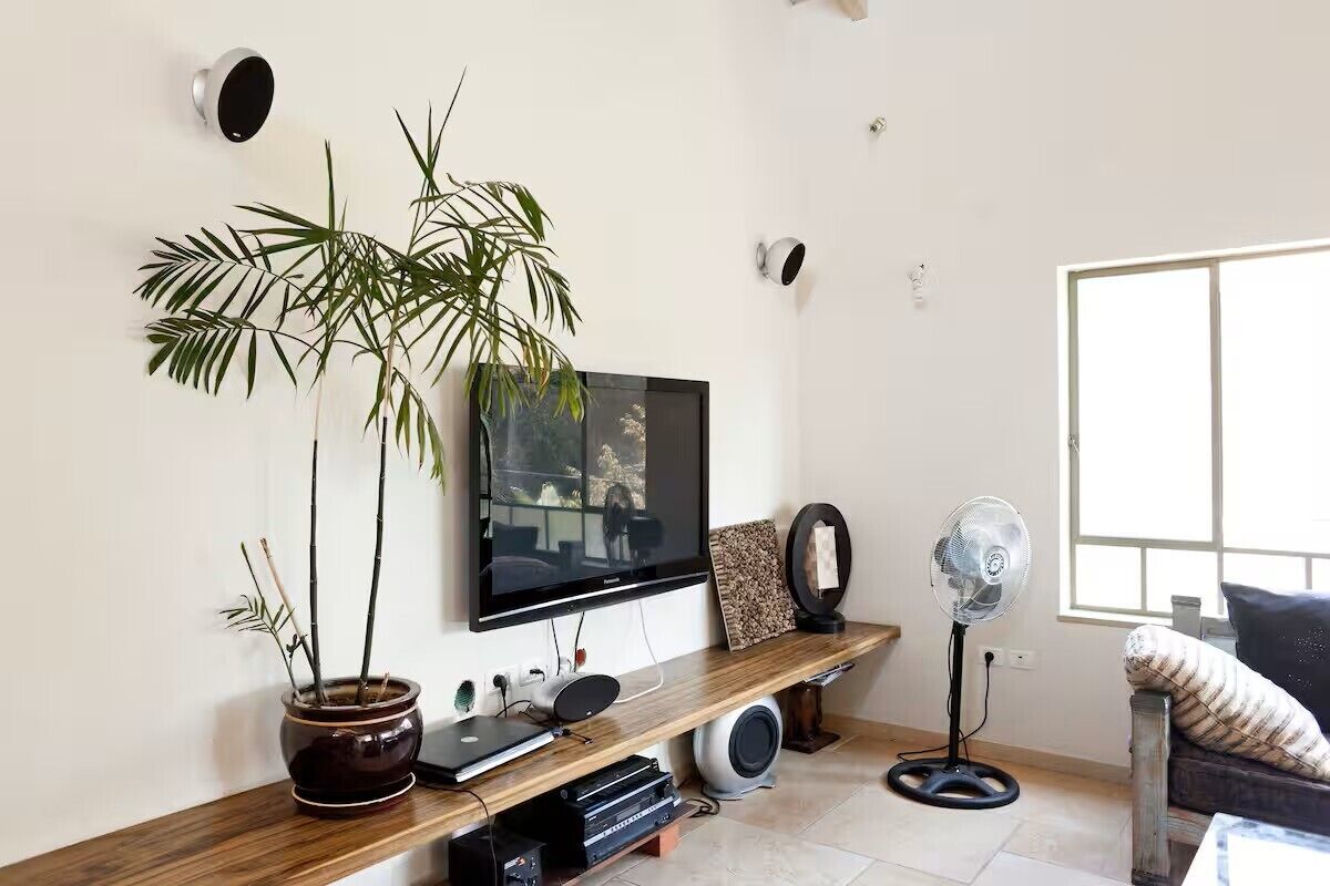 A living room with a TV, speakers, a plant, and a fan.
