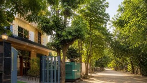 Rua arborizada com um edifício moderno, entrada com portão e caixa de utilidades verde.