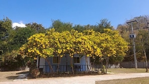 Um edifício com área externa coberta, rodeado por árvores e um cercado.
