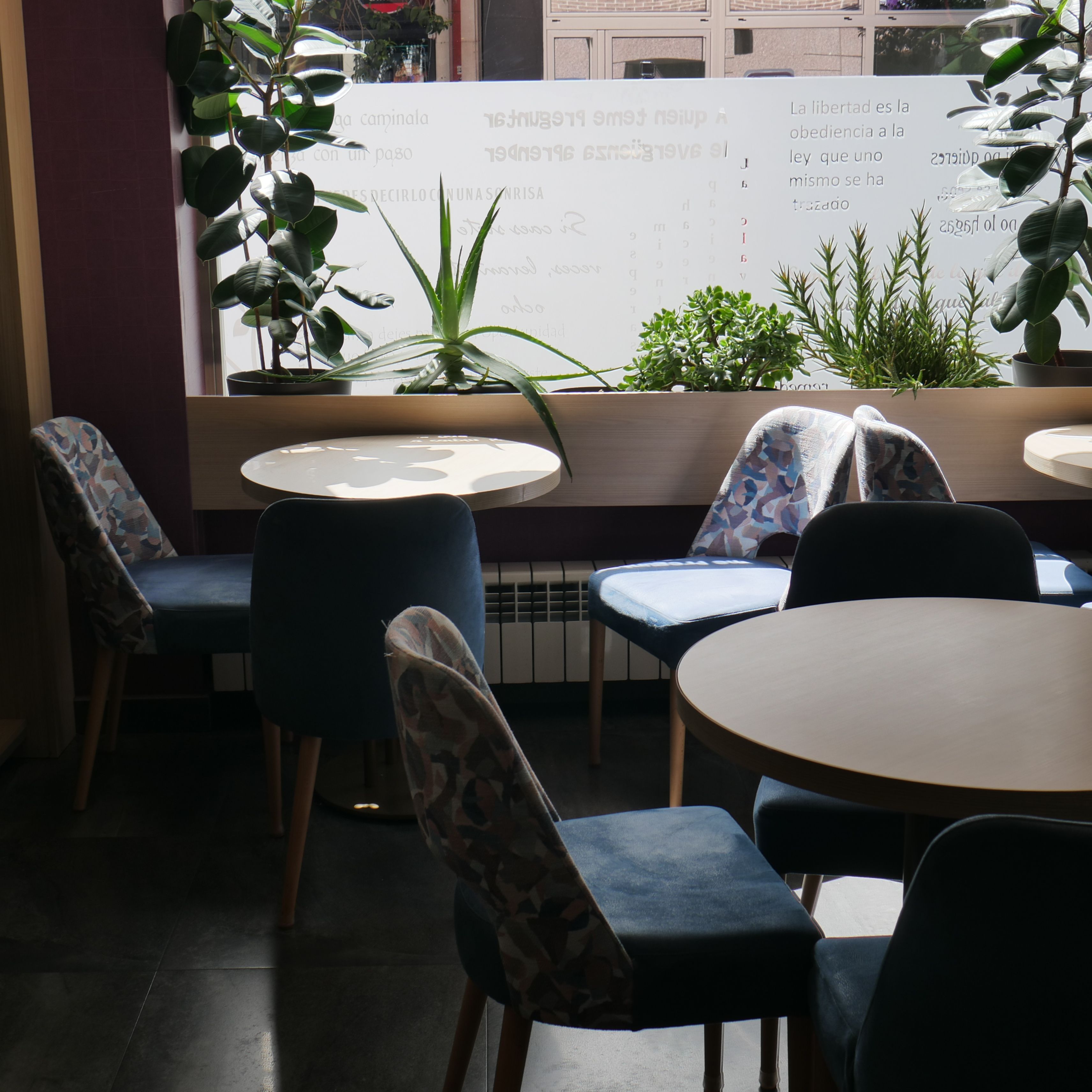 Interior de restaurante com mesas redondas, cadeiras e plantas em vasos.