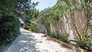 Un sendero estrecho bordeado por follaje denso y una pared con una puerta.