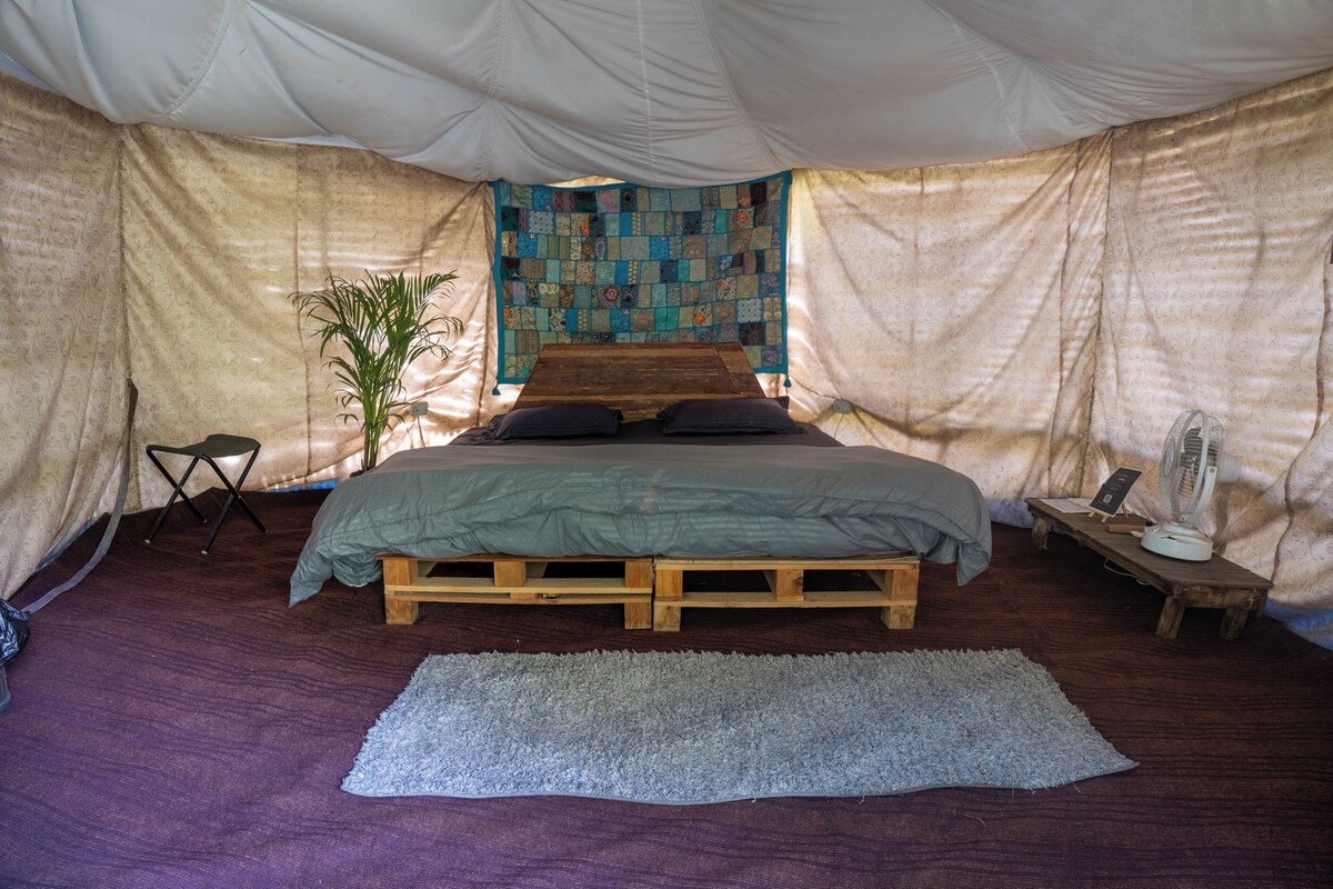 Habitación con carpa, una cama, una mesita, un ventilador y una planta.