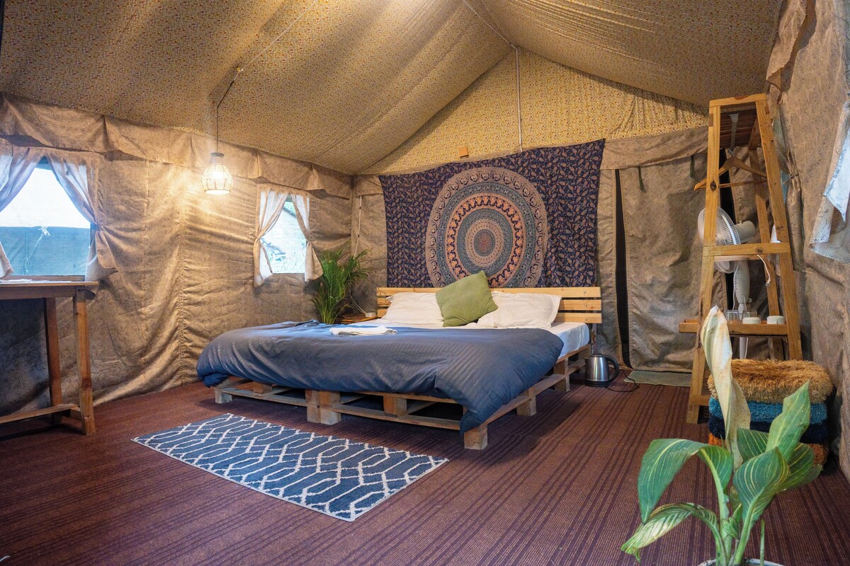 Una carpa con una cama, una planta colgante, una escalera y un tapiz.