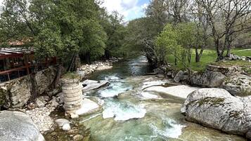 Un río serpentea por un paisaje natural con árboles y rocas.