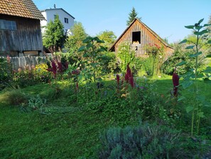 Property grounds - Studio "Europa Park, room with private bathroom" with shared terrace, garden & Wi-Fi (Herbolzheim)