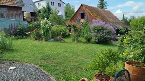 A garden with a wooden shed, various plants, and a gravel path.