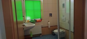 Shower, hair dryer, towels - Studio "Europa Park, room with private bathroom" with shared terrace, garden & Wi-Fi (Herbolzheim)