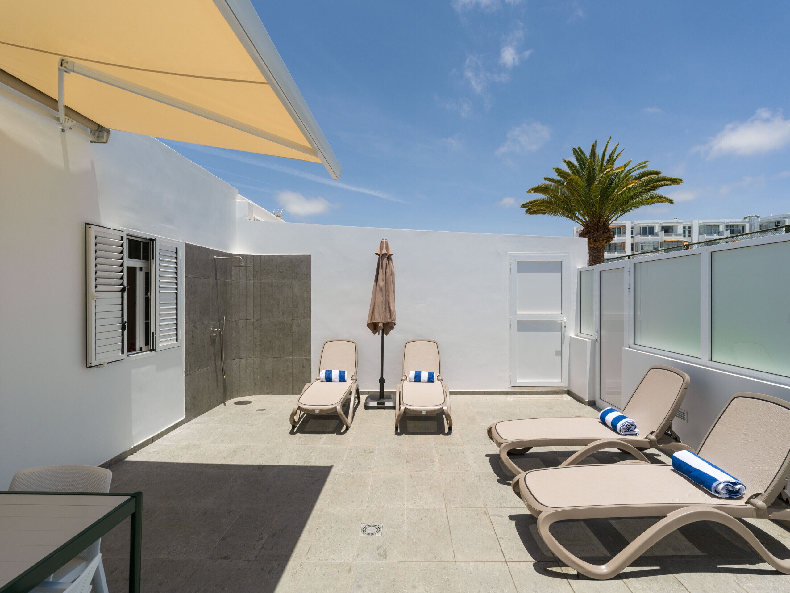 Eine Dachterrasse mit vier Liegestühlen, einem Tisch, Sonnenschirm und einer Palme.