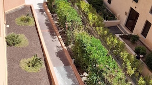 Un patio con un sendero, rodeado de vegetación y edificios de arquitectura uniforme.