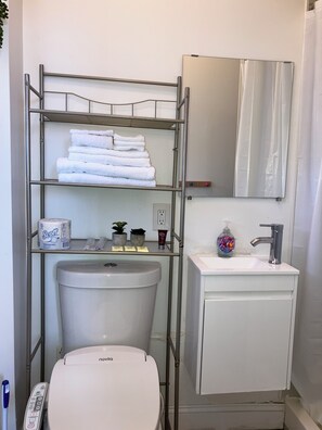 Ducha, secador de pelo, bidé y toallas
