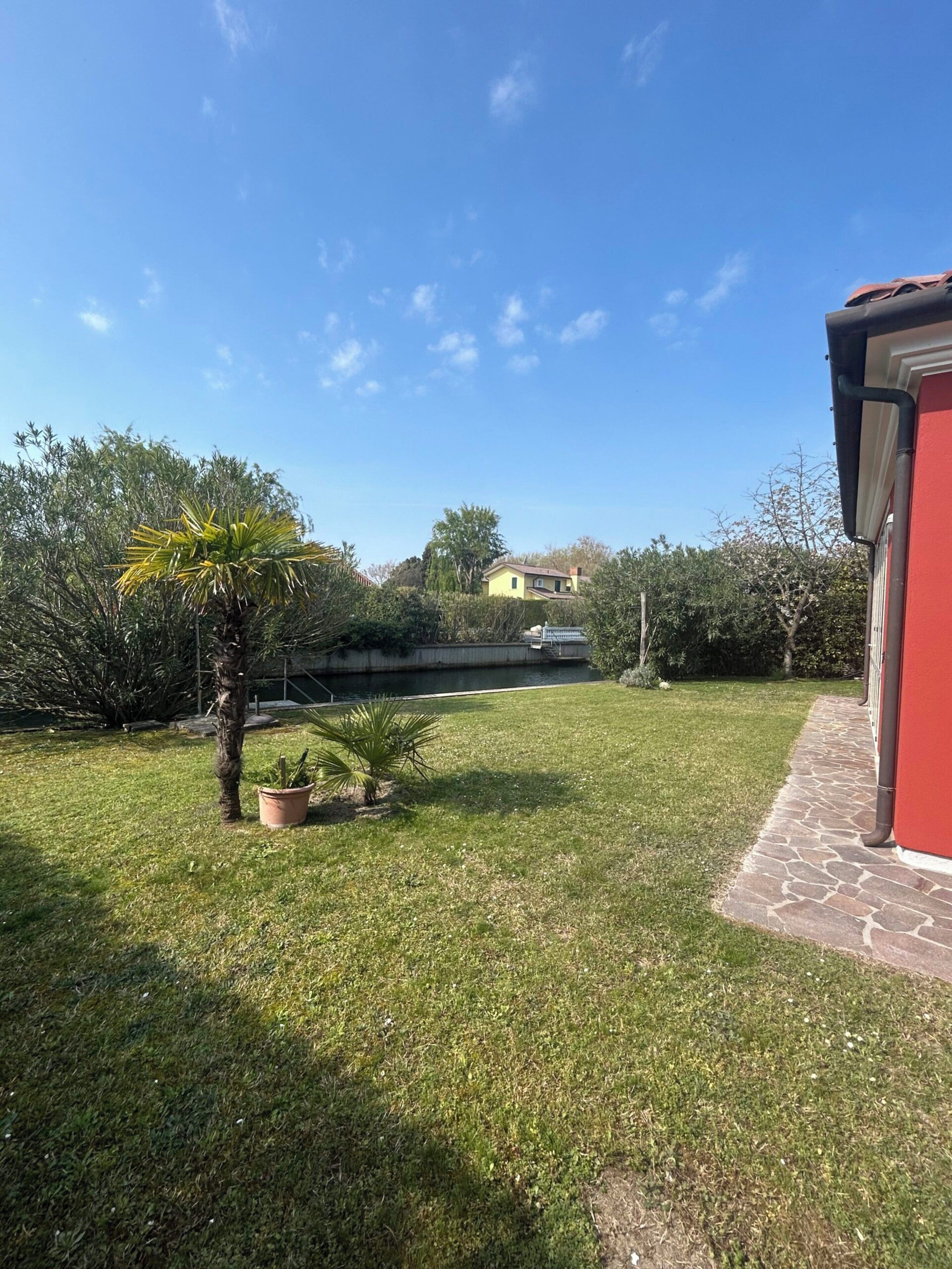A grassy yard with a small palm tree, a potted plant, and a red building with a stone pathway.