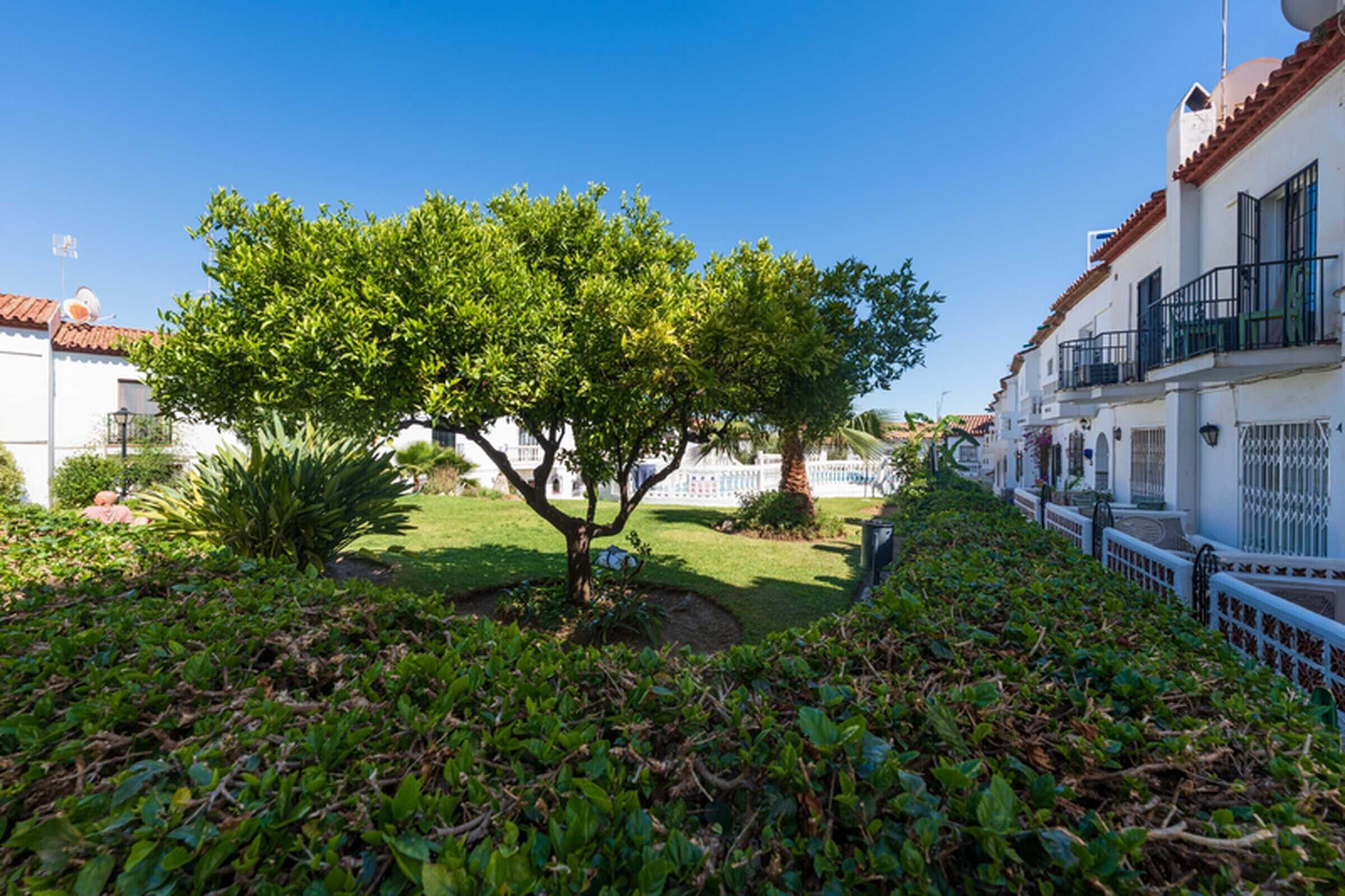 A courtyard with a tree, a white building with balconies, and a clear blue sky.