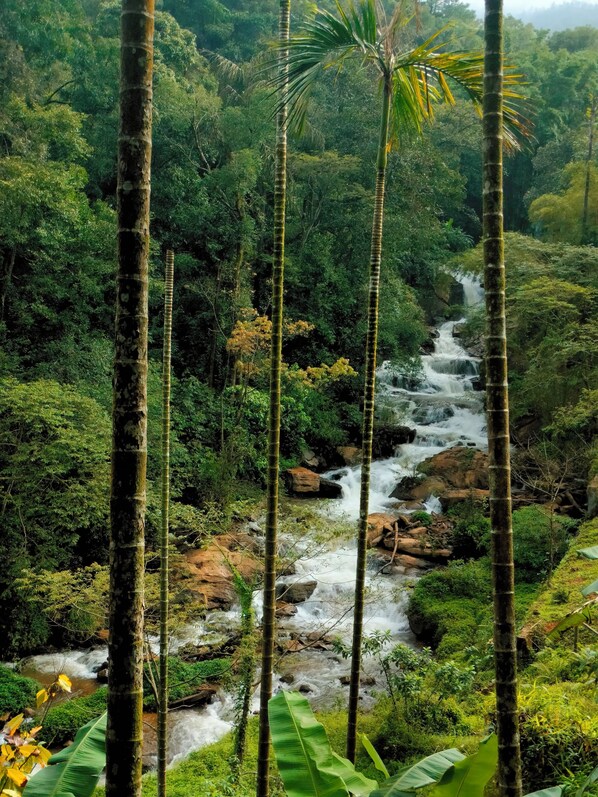 Unclassified image, 1 of 7, button - Coorg Silent Stay - Homestay (Madikeri)