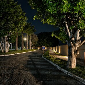 Un espace de stationnement nocturne agrĂ©mentĂ© dâarbres et dotĂ© dâune route asphaltĂ©e.