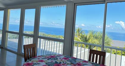 Cosy and spacious in Saint Joseph close to Rivière Langevin and town center
