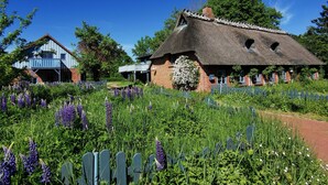 A traditional thatched-roof house with a garden in front. - Simply charming, natural, and beautiful—just 600 meters from the sea! Angeln Courtyard (Nieby)