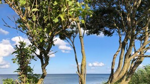 A coastal landscape with trees, a sandy beach, and the sea. - Simply charming, natural, and beautiful—just 600 meters from the sea! Angeln Courtyard (Nieby)