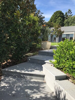 Un sendero de concreto que conduce a un edificio de diseño moderno, rodeado de abundante vegetación y una gran maceta.