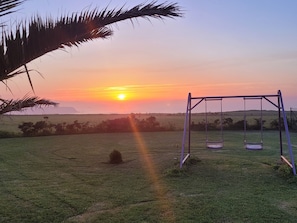 A grassy field with a swing set and a palm tree.
