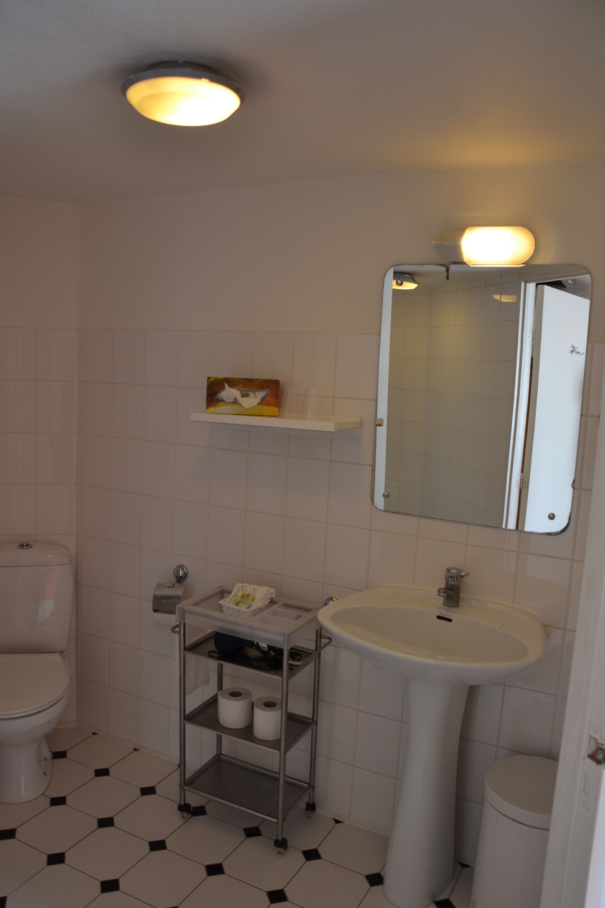 Un baño con inodoro, lavabo y un estante con artículos de aseo.