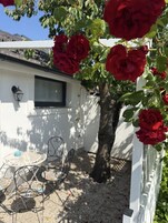 Terraço/pátio