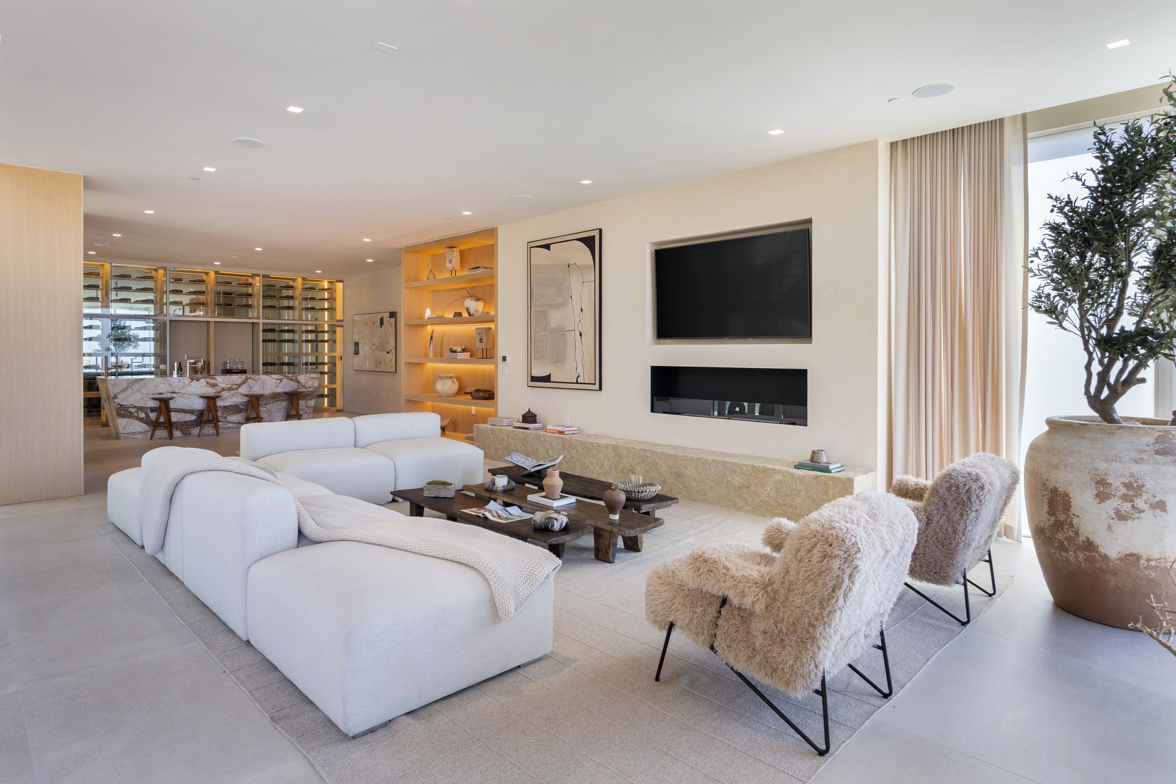 A modern living room with a sectional sofa, a fireplace, a TV mounted on the wall, and a large potted plant.