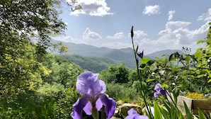 A garden with purple flowers and a mountainous backdrop. - Maison de fontale, mountain retreat with breathtaking views (Aleu)