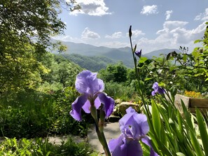 A garden with purple flowers and a mountainous backdrop. - Maison de fontale, mountain retreat with breathtaking views (Aleu)