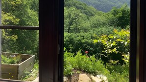 A window view of a lush green landscape with mountains in the distance. - Maison de fontale, mountain retreat with breathtaking views (Aleu)