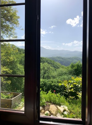 Blick aus dem Fenster auf eine üppige, grüne Landschaft mit Bergen im Hintergrund.