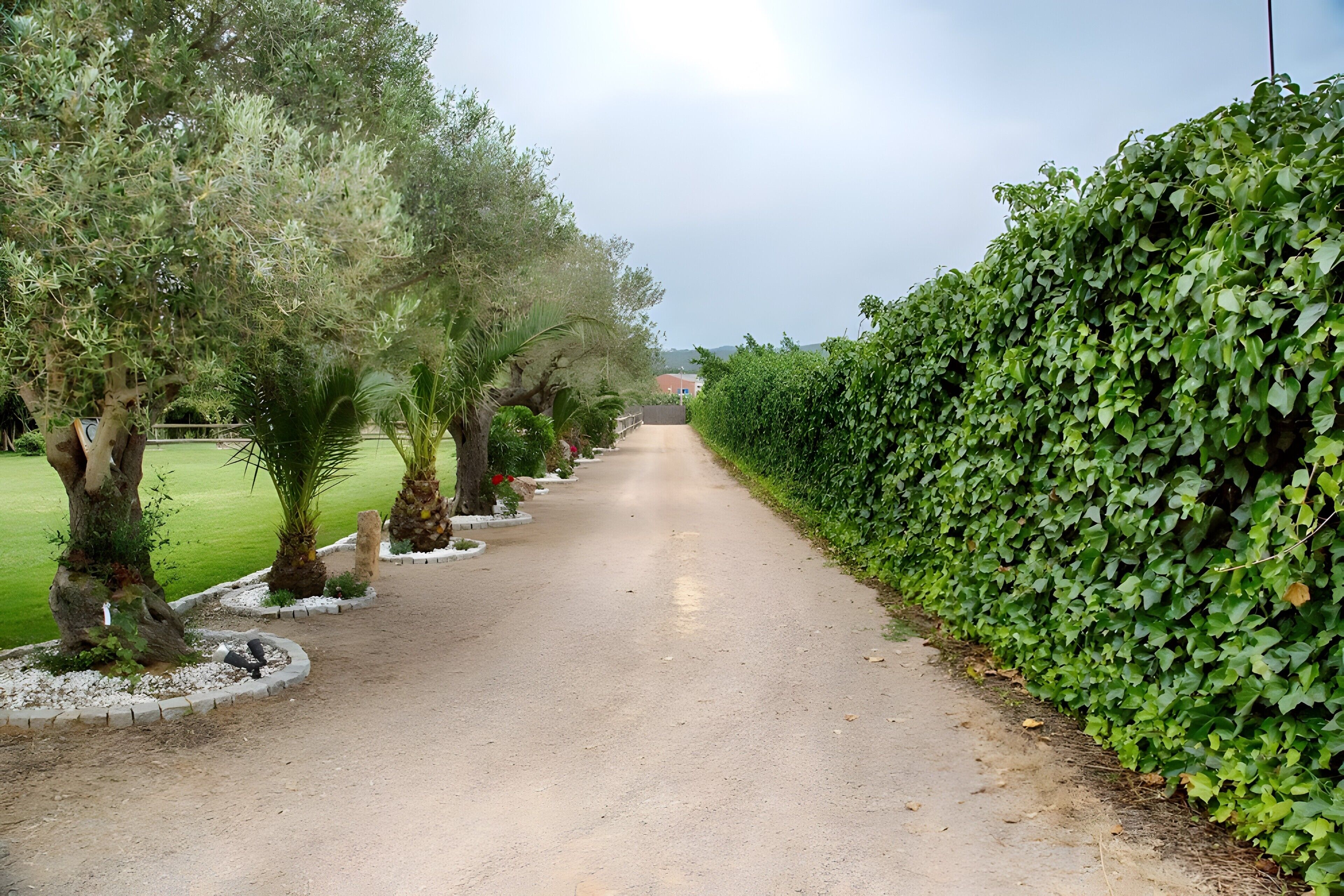 Jardines del alojamiento