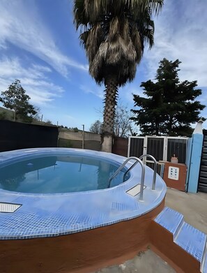 A swimming pool with a metal ladder, surrounded by a fence, and palm trees in the background. - Finca El Lomo with Mountain Views, Private Pool and Wi-Fi (Saucillo)