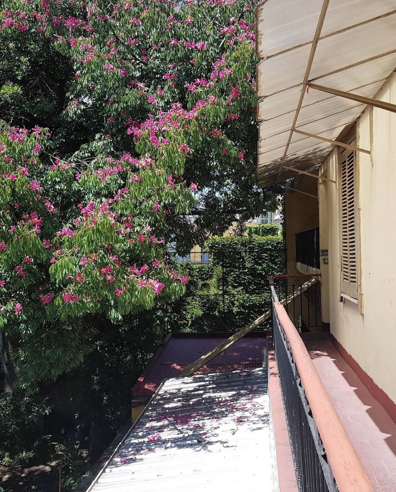Terraço/pátio