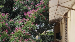 Teres/patio