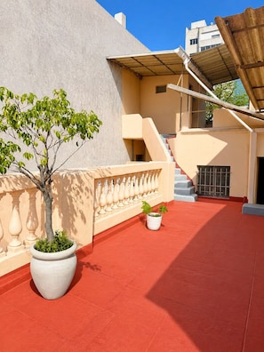 A rooftop with a tree, a potted plant, and a staircase.