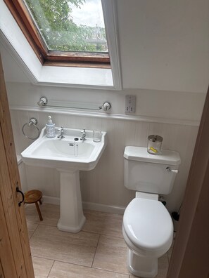 Hair dryer, towels, soap, toilet paper - Chestnut Cottage - First floor barn conversion in the Cairngorm National Park (Aviemore)