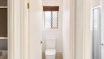 Hair dryer, towels, toilet paper
