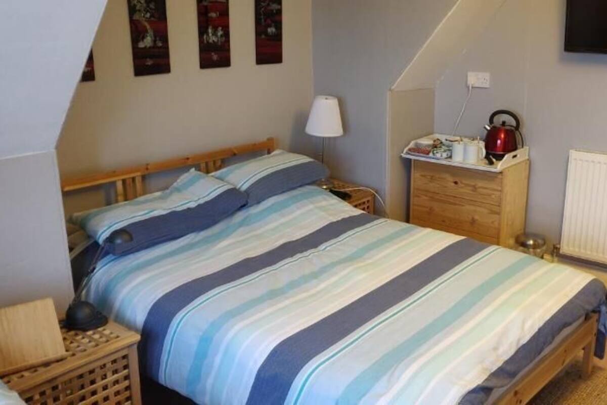 A bedroom with a bed, a nightstand, a dresser, a television, and a radiator.