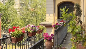A balcony with potted flowers, a tiled roof, and a building with a window. - Casa Paravia - History Meets Contemporary Comfort (Turin)