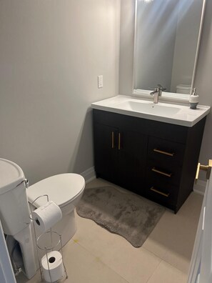 Towels, soap, toilet paper - Beautiful Two-bedroom apartment: Minutes from Go Train to Toronto (King City)