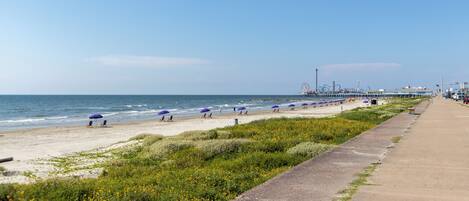 Playa