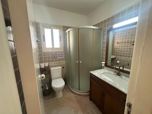 A bathroom with a toilet, shower, sink, and mirror.