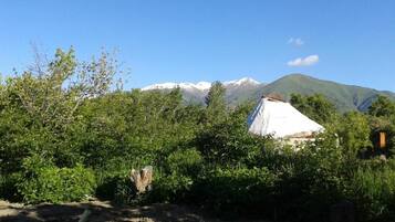 Tent, Garden View | Miscellaneous