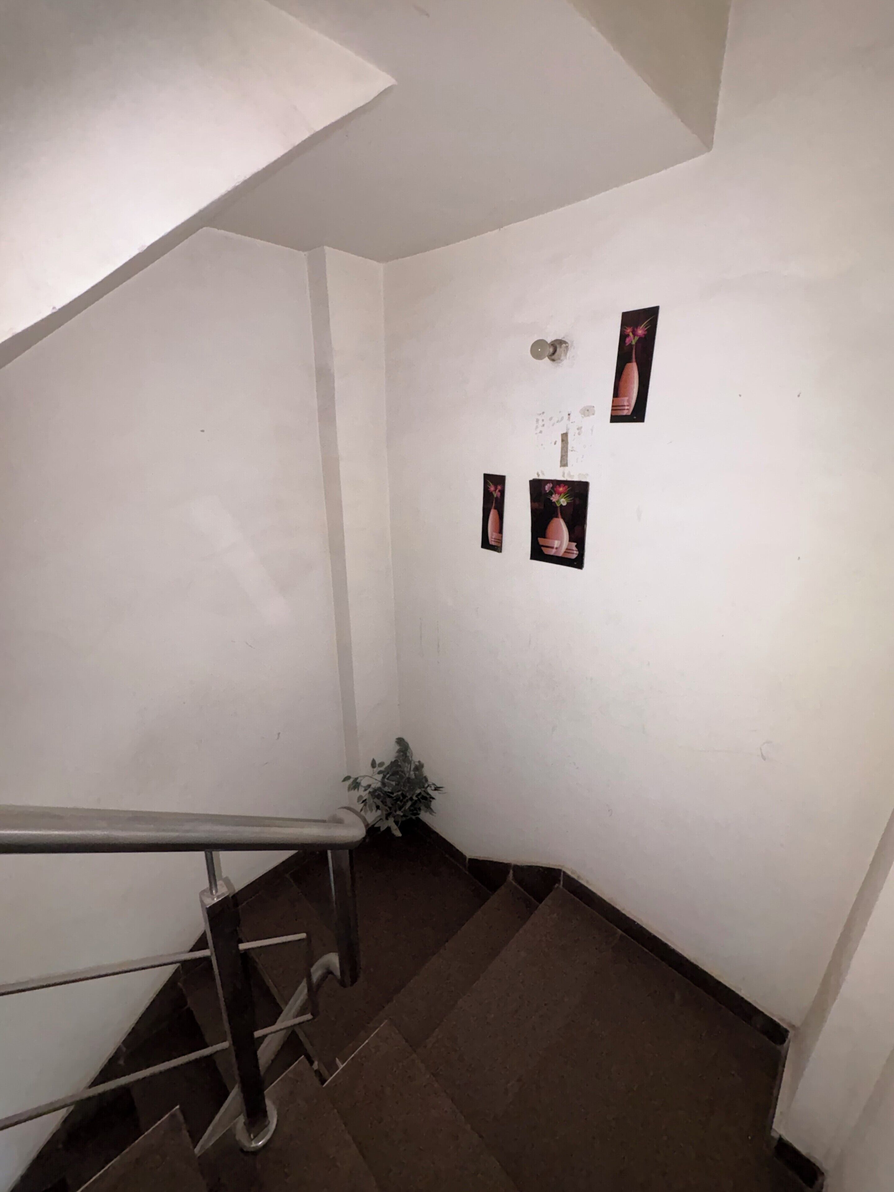 A staircase with a metal railing, a small potted plant, and three framed pictures on the wall.