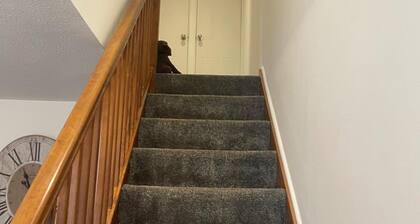 Sleeps 5 pet Friendly, Enclosed Garden, Parking
