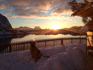 Un perro sentado sobre terreno cubierto de nieve, una valla de madera y una masa de agua que refleja el atardecer.